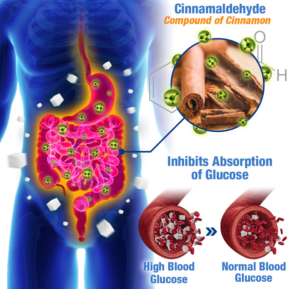 GesundheitsPatch™️ Blutzucker Balance Pflaster
