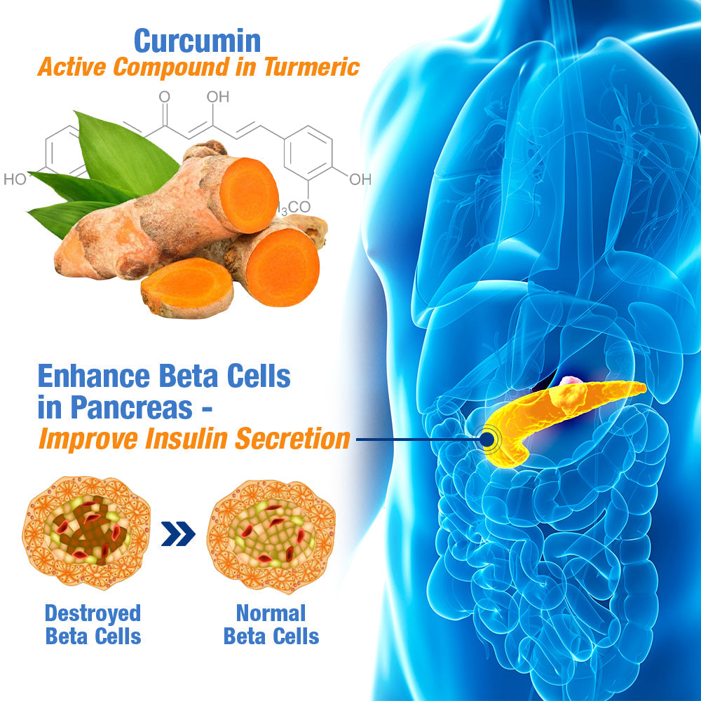 GesundheitsPatch™️ Blutzucker Balance Pflaster