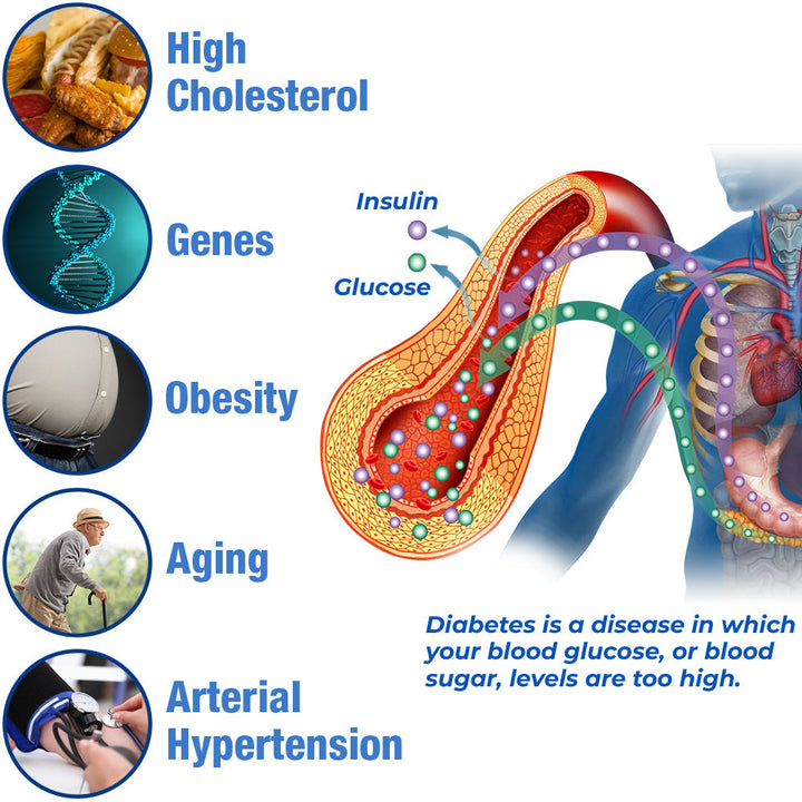GesundheitsPatch™️ Blutzucker Balance Pflaster