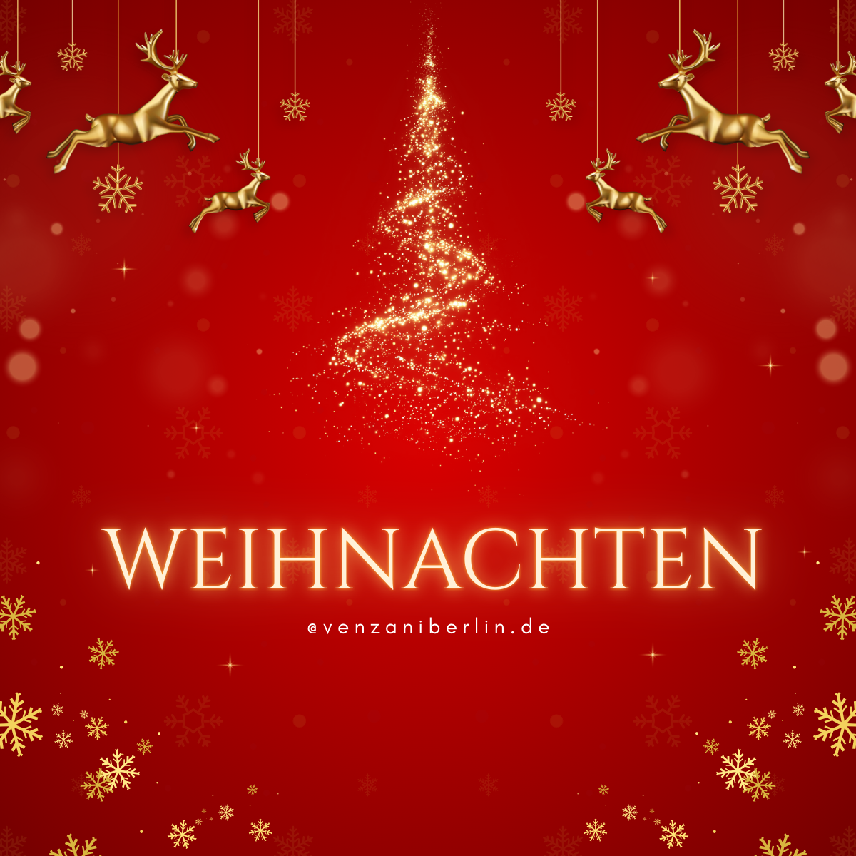 ⭐ 𝐖𝐞𝐢𝐡𝐧𝐚𝐜𝐡𝐭𝐬-Ausverkauf ⏳