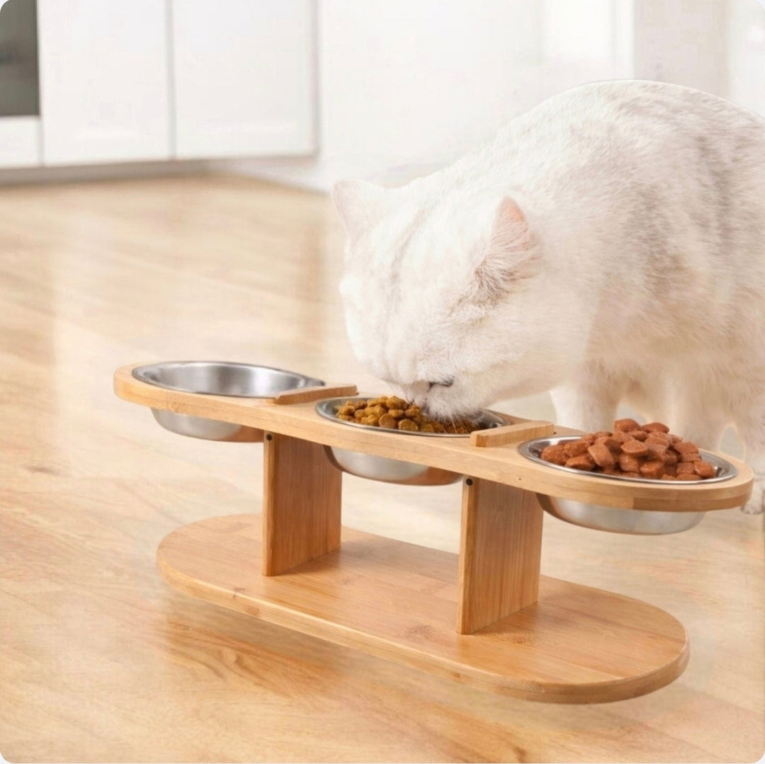 FutterWohl™ Komfortnapf für Haustiere
