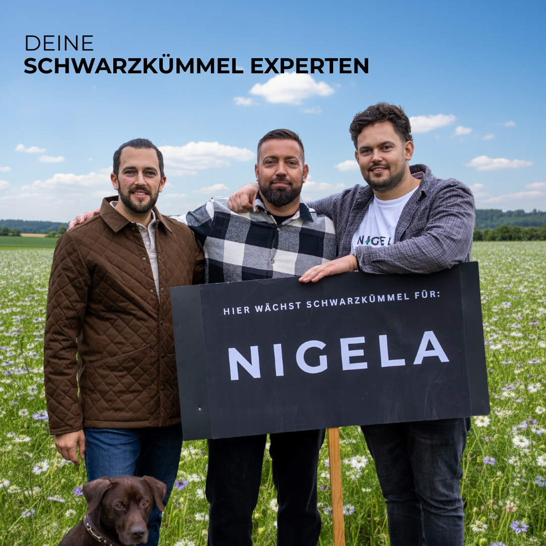 Bio-Schwarzkümmelöl unterstützt die tägliche Gesundheit und Vitalität