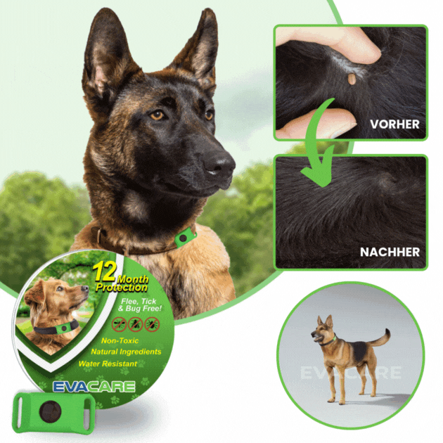 PetShield™ Floh- & Zeckenschutz für 12 Monate