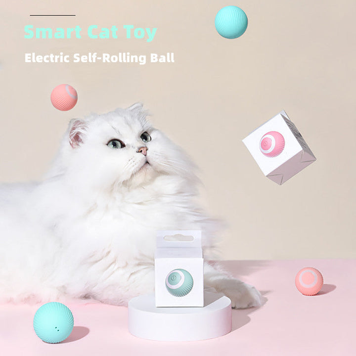 PurrBall™ – Intelligentes Katzenspielzeug mit Rollball
