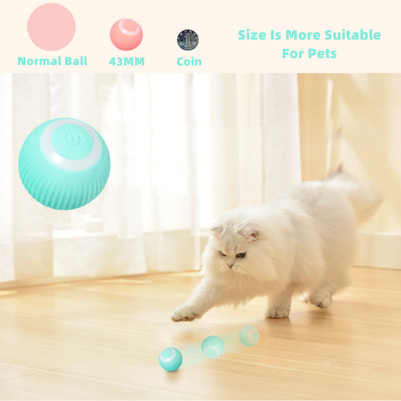 PurrBall™ – Intelligentes Katzenspielzeug mit Rollball