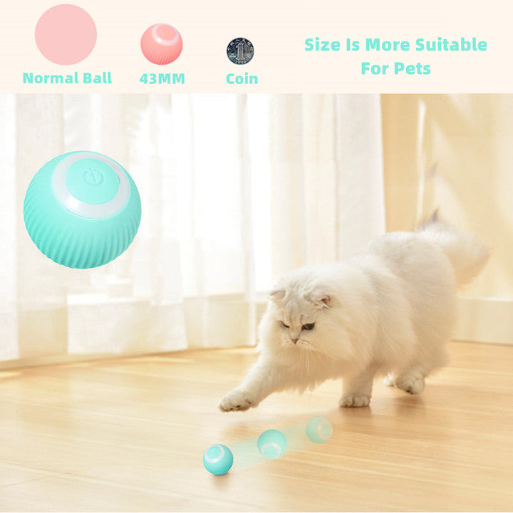 PurrBall™ – Intelligentes Katzenspielzeug mit Rollball