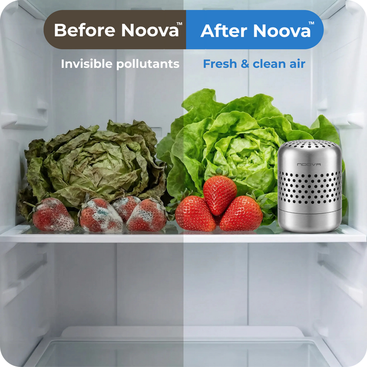 Noova™ Kühlschrankreiniger