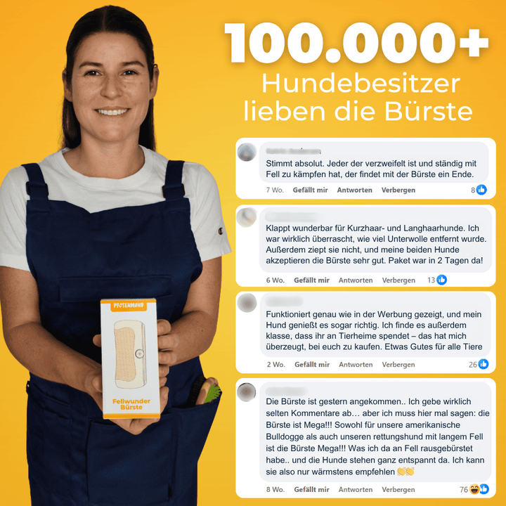 FellGlanz™ Entwirr- & Pflegebürste für Haustiere