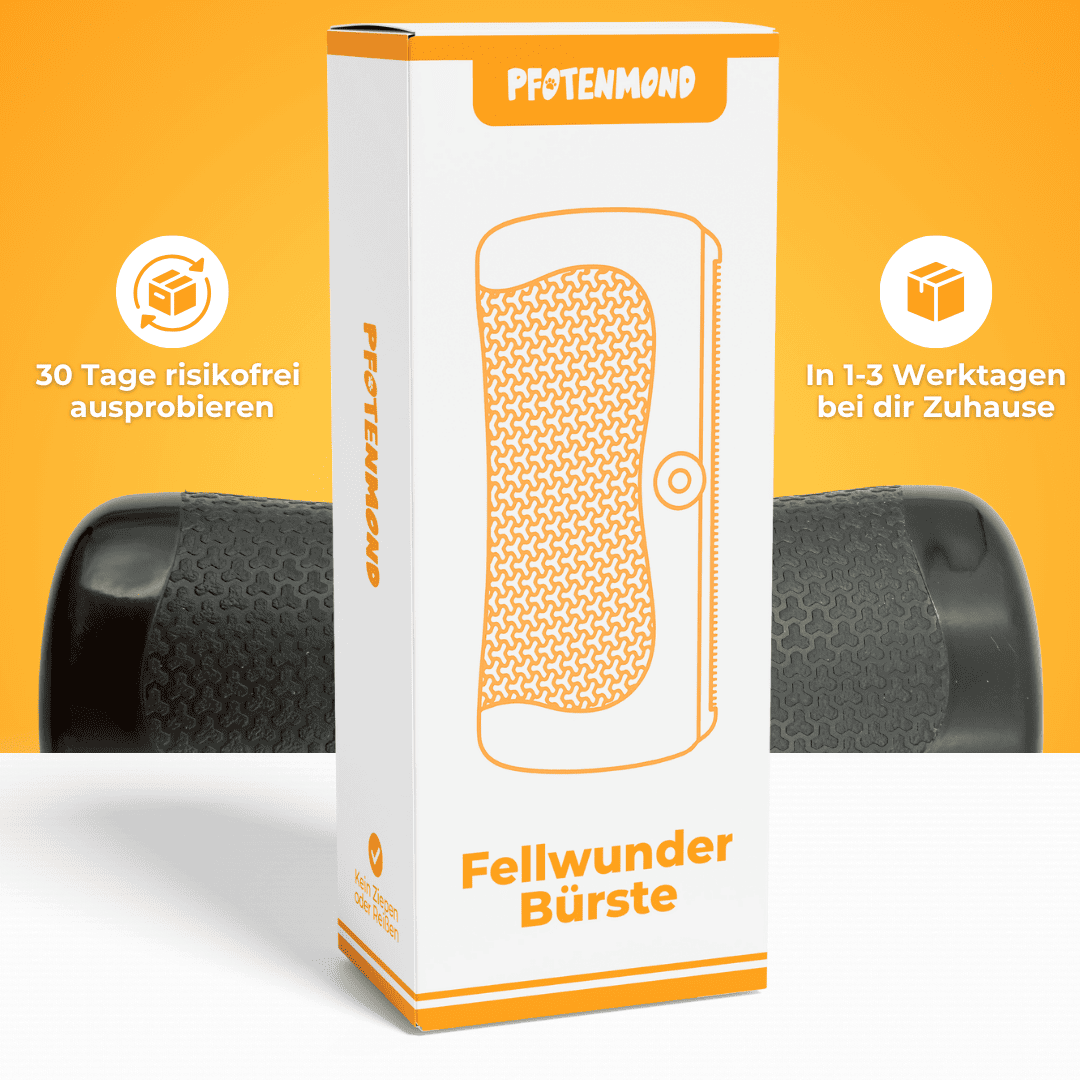 FellGlanz™ Entwirr- & Pflegebürste für Haustiere