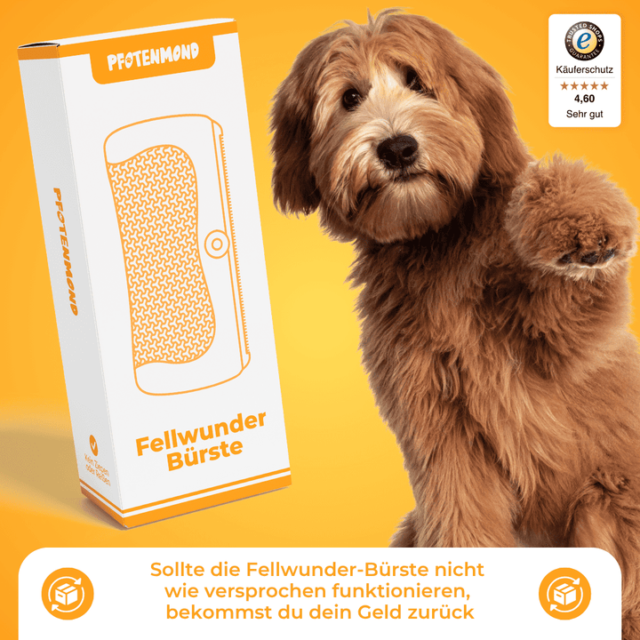 FellGlanz™ Entwirr- & Pflegebürste für Haustiere
