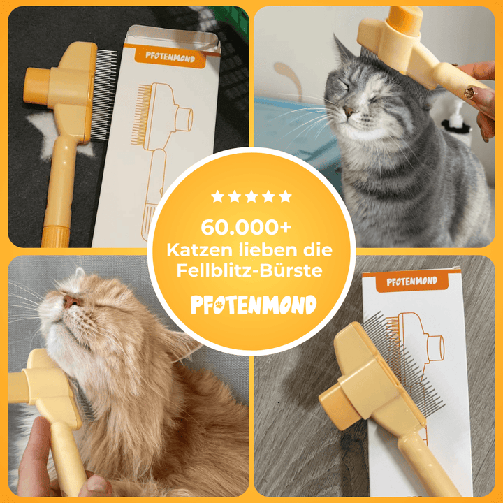 FellZauber™ Entfernungsbürste für Tierhaare