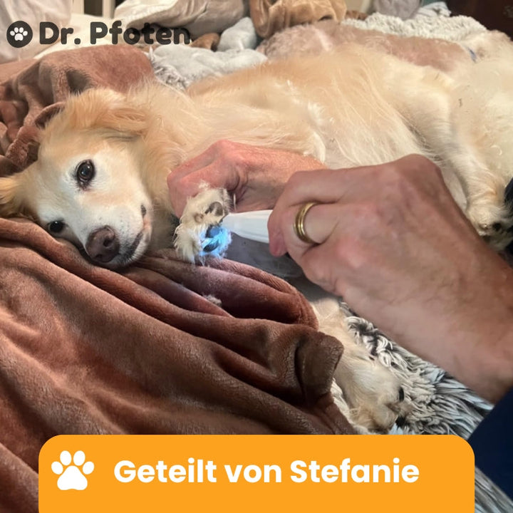 PfotenGlanz™ Elektrischer Pfotentrimmer