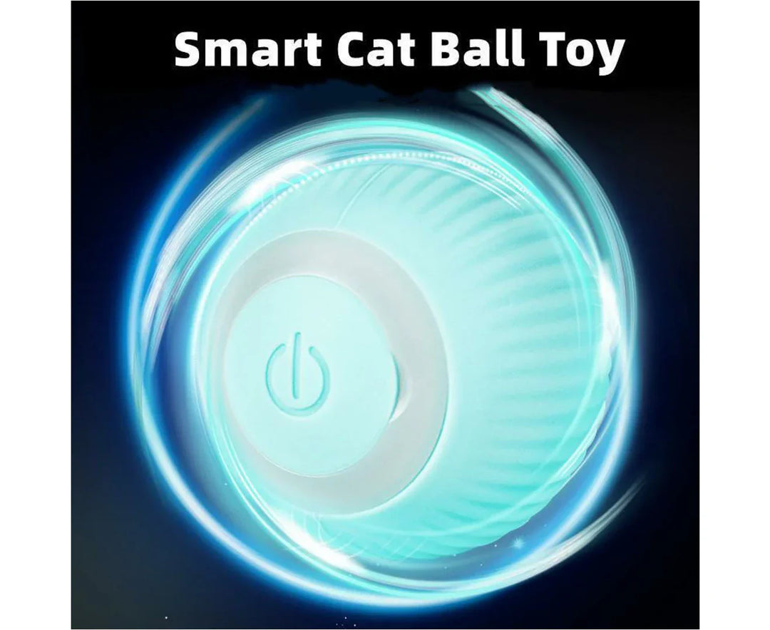 PurrBall™ – Intelligentes Katzenspielzeug mit Rollball