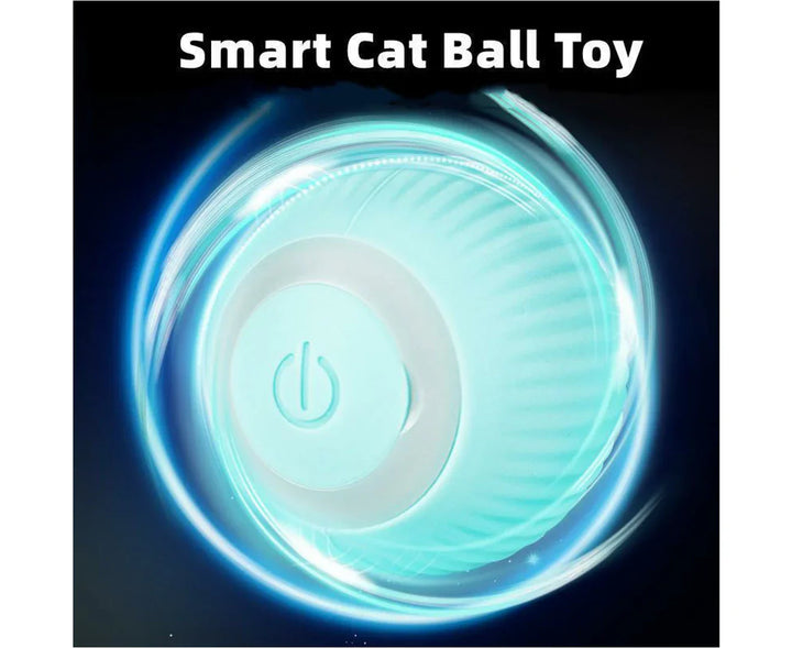 PurrBall™ – Intelligentes Katzenspielzeug mit Rollball
