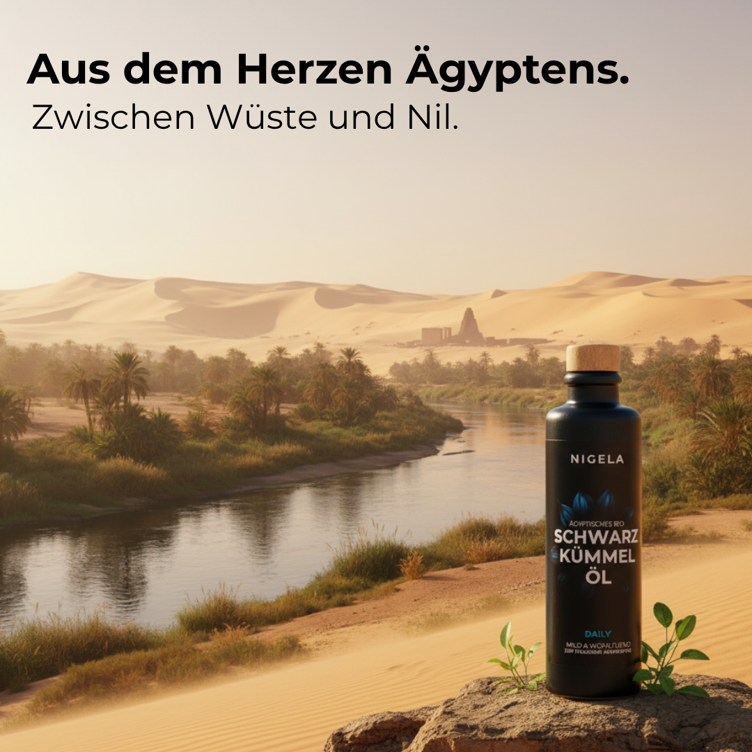 Bio-Schwarzkümmelöl unterstützt die tägliche Gesundheit und Vitalität