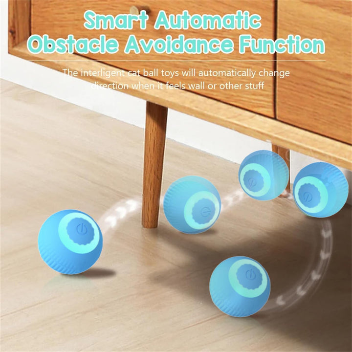 PurrBall™ – Intelligentes Katzenspielzeug mit Rollball