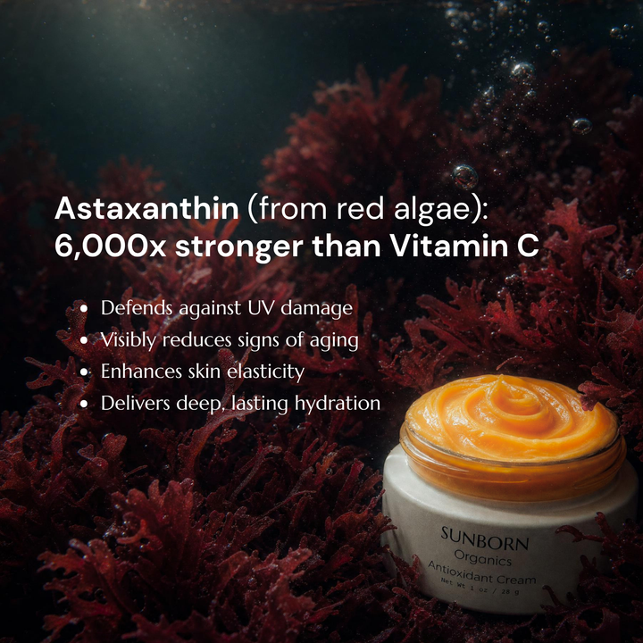 Antioxidative Creme