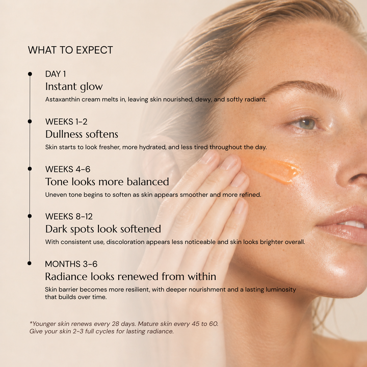 Antioxidative Creme