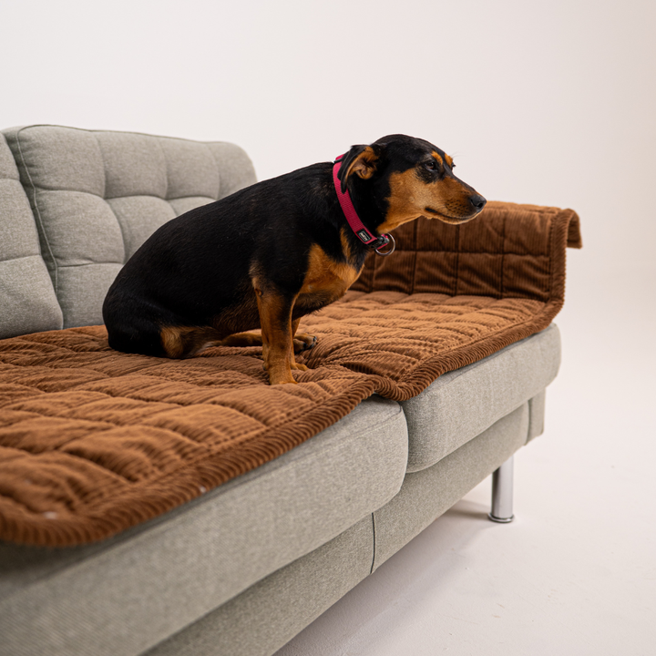 CouchGuard™ Rutschfester & Wasserabweisender Sofaschutz