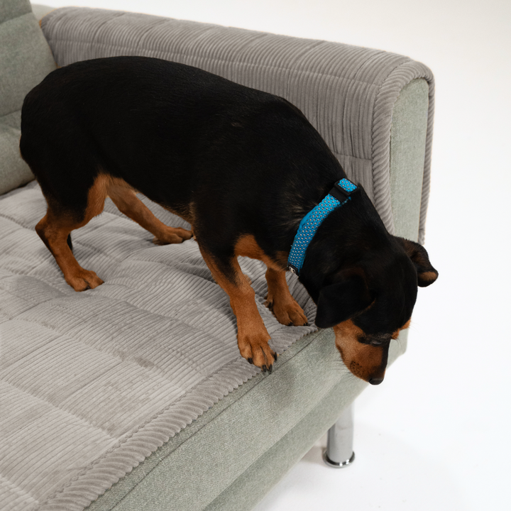 CouchGuard™ Rutschfester & Wasserabweisender Sofaschutz