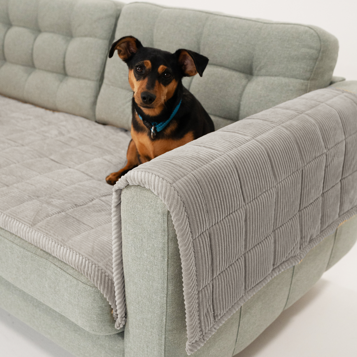 CouchGuard™ Rutschfester & Wasserabweisender Sofaschutz