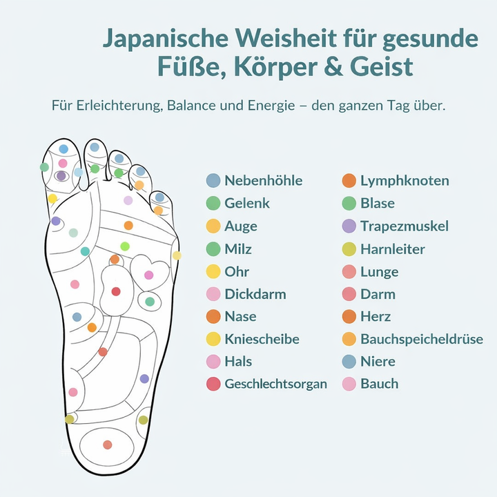 1 + 1 GRATIS | Relivora™ | Magnetische Einlegesohlen für mehr Bewegung & Leichtigkeit