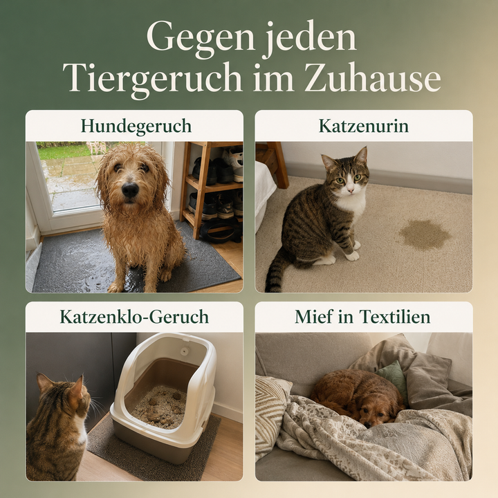 RaumFrisch™ Raumduft-Erfrischer