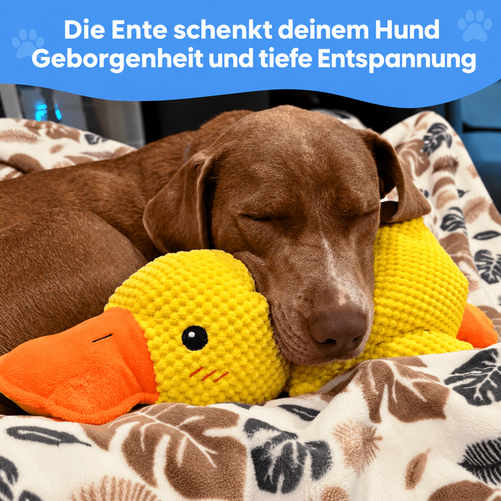 KuschelEnte™ Beruhigende Anti-Stress-Ente