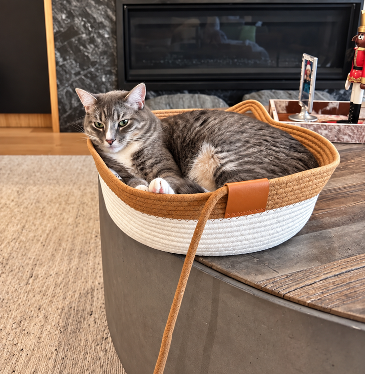 KatzenNest™ Geflochtener Seilkorb für Katzen