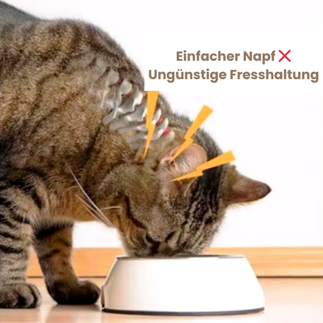 FutterWohl™ Komfortnapf für Haustiere
