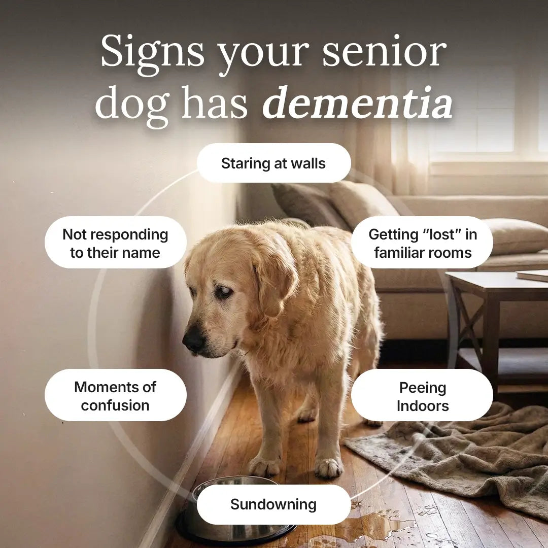 NAD+-Formel