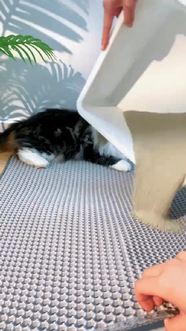 StreuFang™ Katzenstreu-Auffangmatte