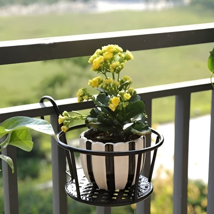 1+2 Gratis GreenSerenity™ Zimmerpflanze