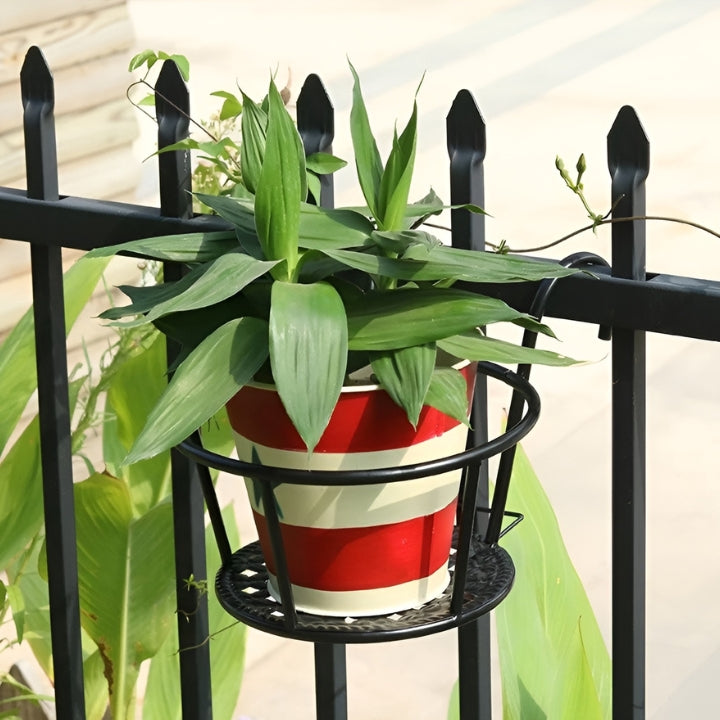 1+2 Gratis GreenSerenity™ Zimmerpflanze
