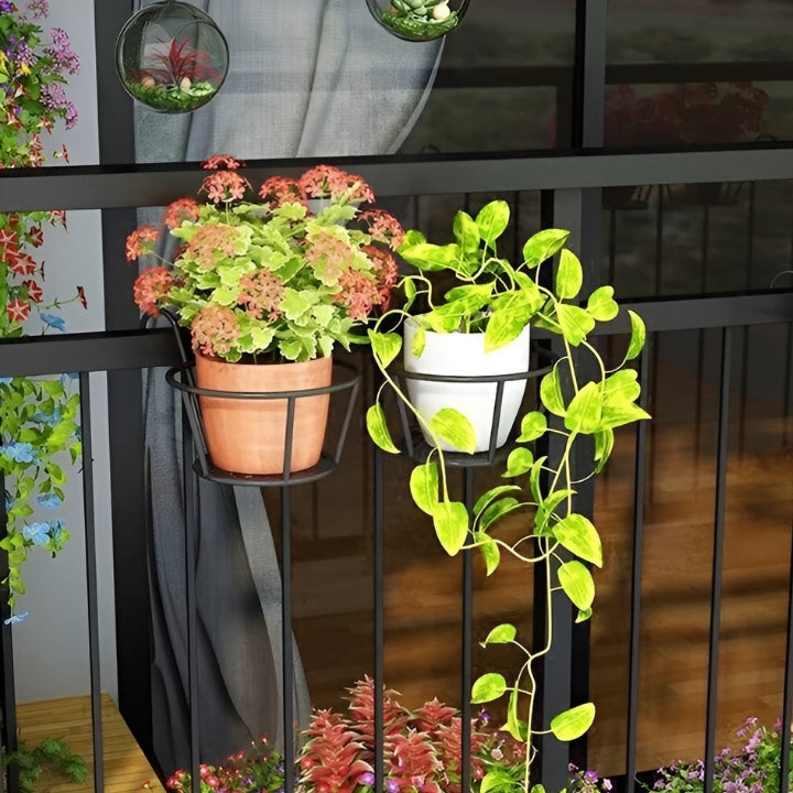 1+2 Gratis GreenSerenity™ Zimmerpflanze