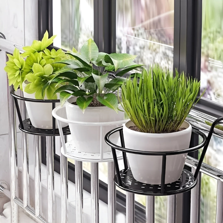 1+2 Gratis GreenSerenity™ Zimmerpflanze