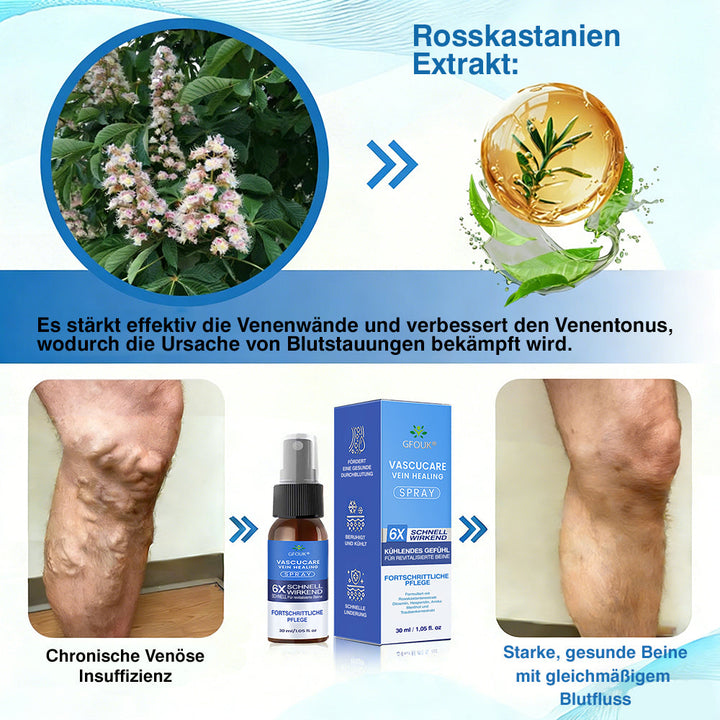 🇩🇪🏃‍🌿GFOUK® VascuCare Vein Healing Spray(Entwickelt für Krampfadern, Besenreiser, tiefe Venenthrombose (TVT), chronische venöse Insuffizienz, venöse Geschwüre, Thrombophlebitis und andere venöse Beschwerden)