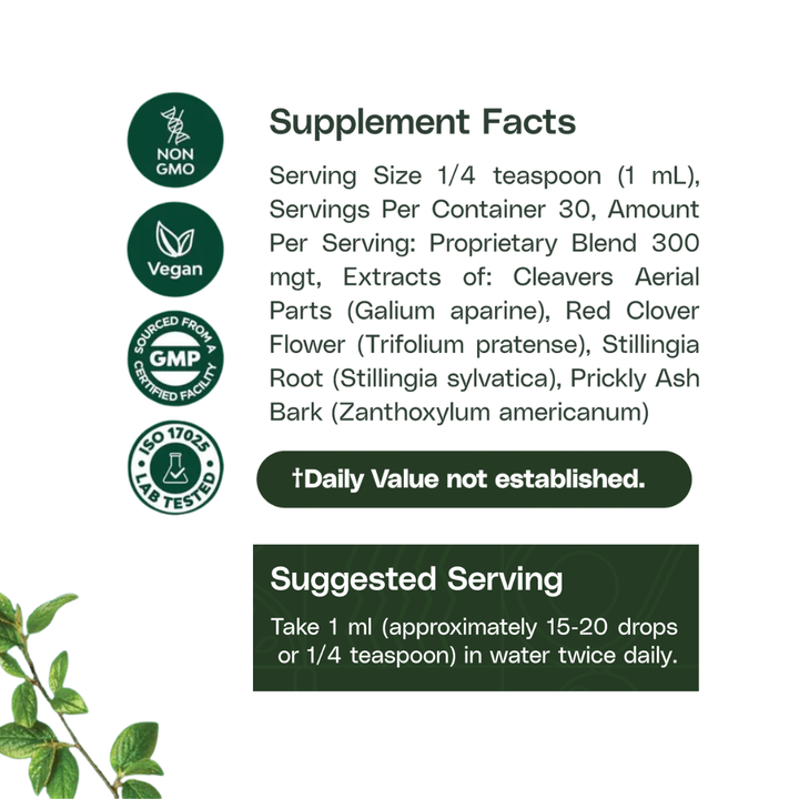 Lymphdrainage-Wellness-Tropfen