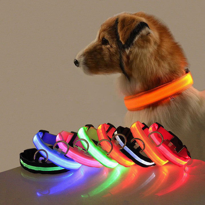 🐾 GlowPaw™ – Die LED-Hundehalskette für sichere Abendspaziergänge
