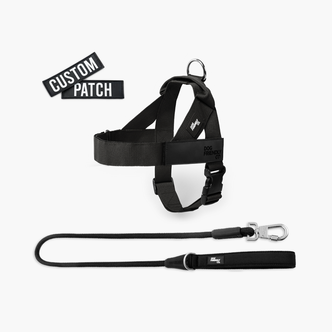 Signature-Kit – Schwarz
