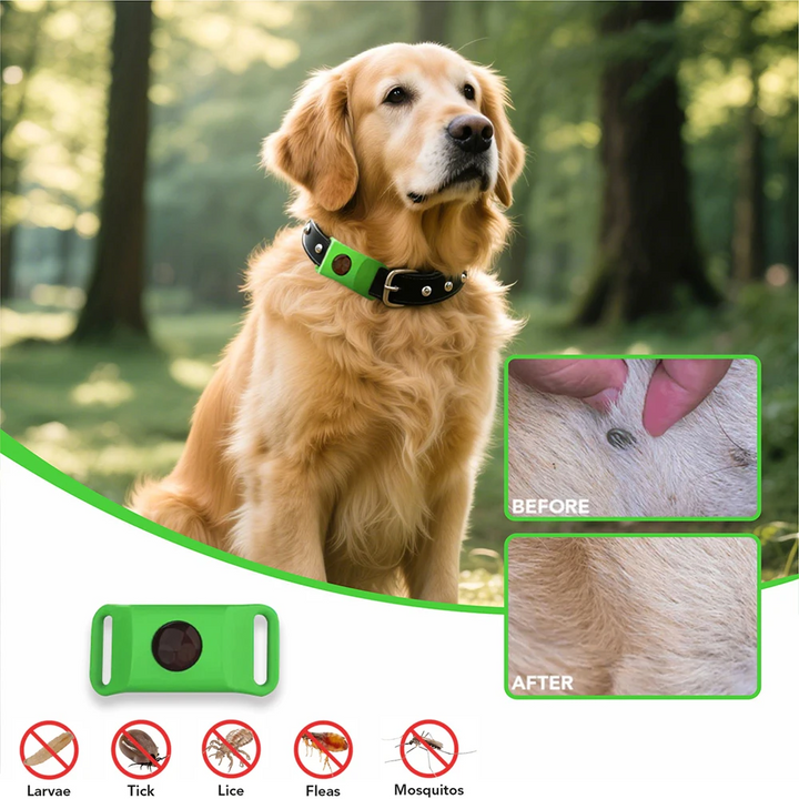 Timilk™ Petlavo Floh & Zecken Halsband | 12 Monate Schutz ohne Aufwand