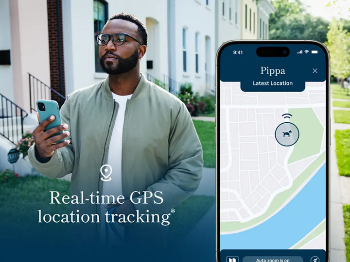 Petivity Smart GPS + Aktivitätstracker für Hunde
