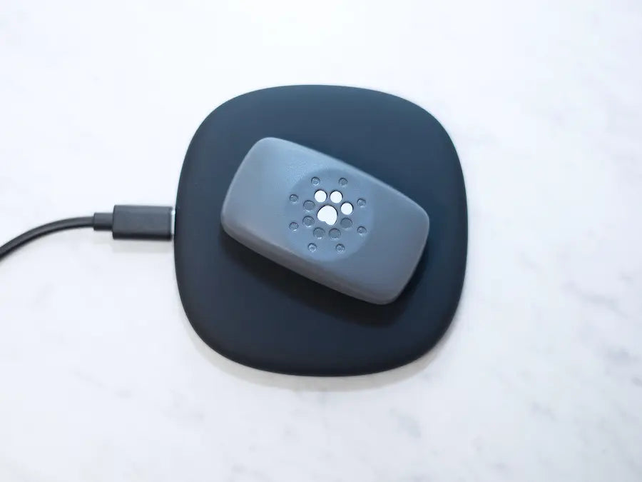 Petivity Smart GPS + Aktivitätstracker für Hunde