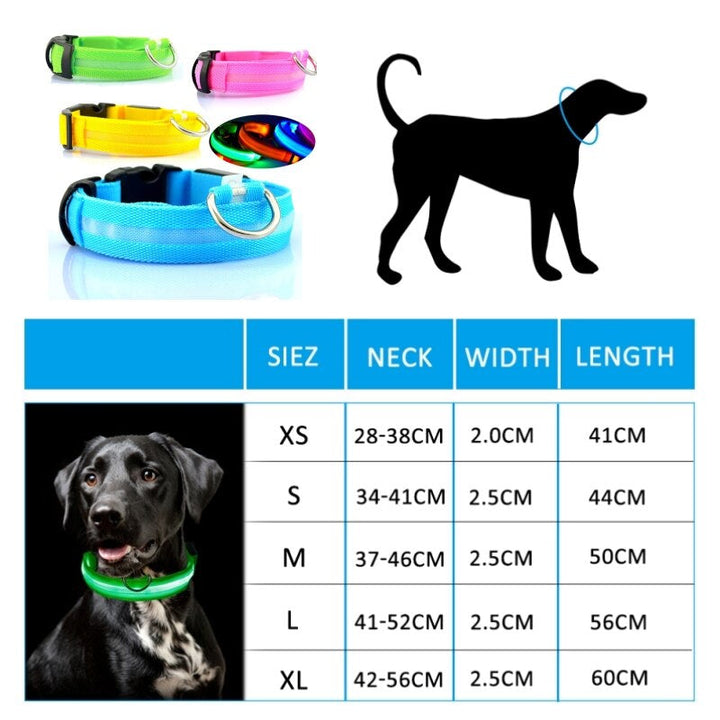 🐾 GlowPaw™ – Die LED-Hundehalskette für sichere Abendspaziergänge