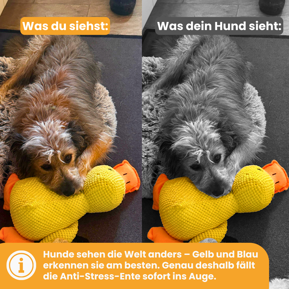 KuschelEnte™ Beruhigende Anti-Stress-Ente