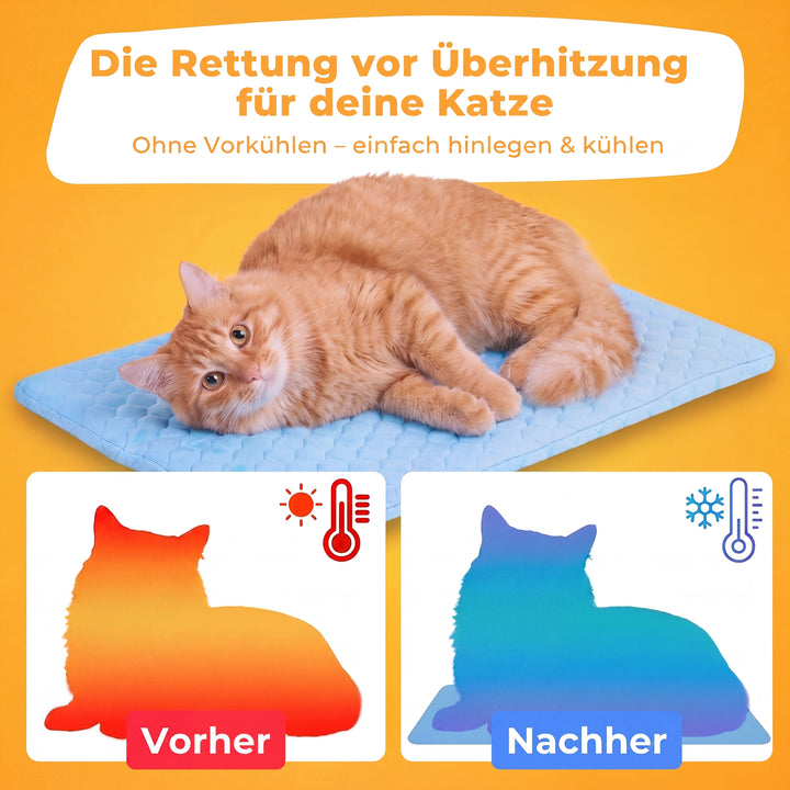 PfotenFrost™ Kühlende Pfotenpflege für Hunde