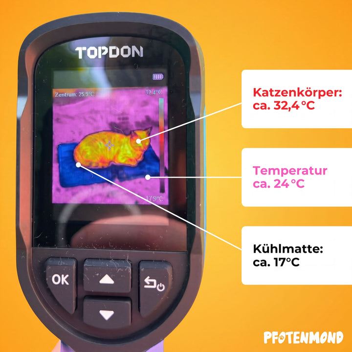 PfotenFrost™ Kühlende Pfotenpflege für Hunde