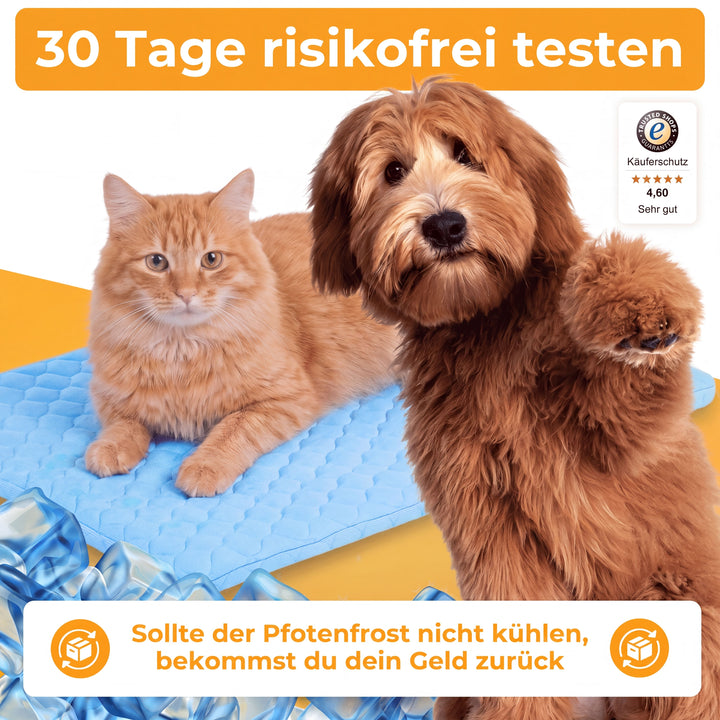 PfotenFrost™ Kühlende Pfotenpflege für Hunde