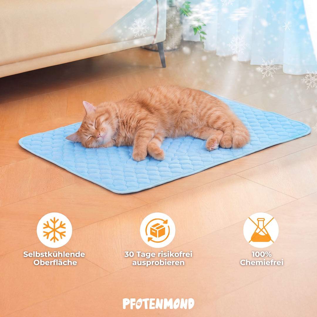 PfotenFrost™ Kühlende Pfotenpflege für Hunde