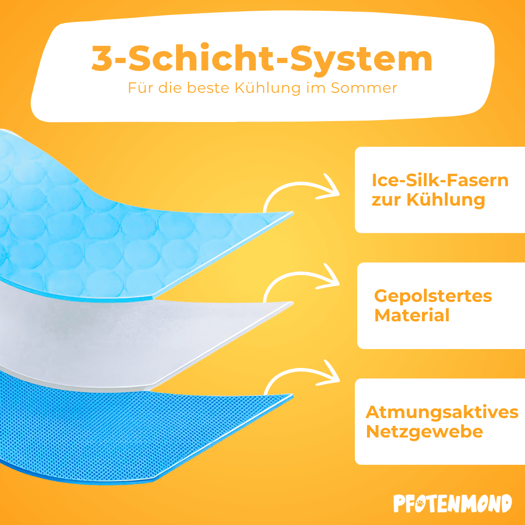 PfotenFrost™ Kühlende Pfotenpflege für Hunde